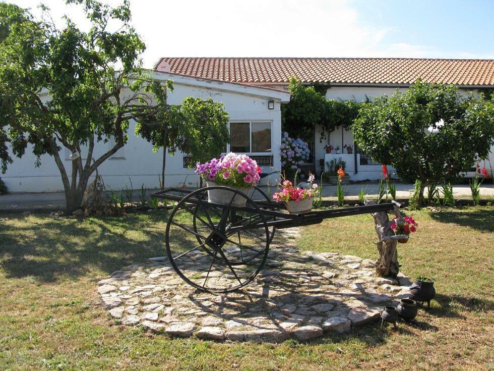 El Condado Casa Rural Fuentes de Onoro Exteriör bild